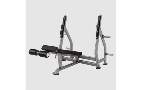 Олимпийская скамья с отрицательным наклоном для жима Smith Fitness DR006B 600_380