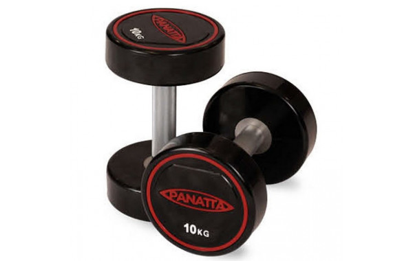 Уретановая гантель 47,5 кг Panatta 1RD475 600_380