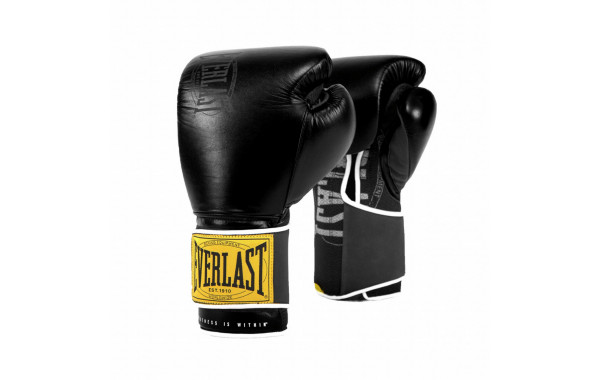 Перчатки тренировочные Everlast 1910 Classic 10oz P00001709-10 черный 600_380