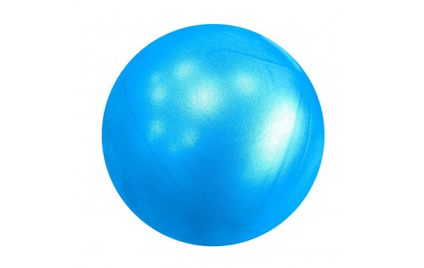 Мяч для пилатеса d25 см Sportex E39137 синий 600_380