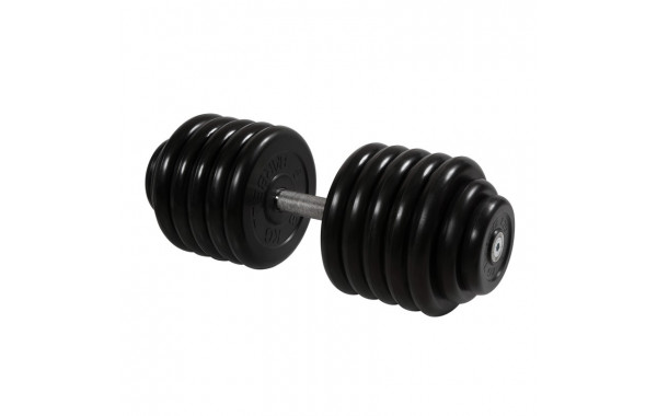 Гантель Профи, 58,5 кг MB Barbell MB-FdbM-B58,5 600_380