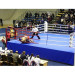 Боксерский ринг Олимпийский 7,8x7,8м, высота помоста 1м 33018 75_75