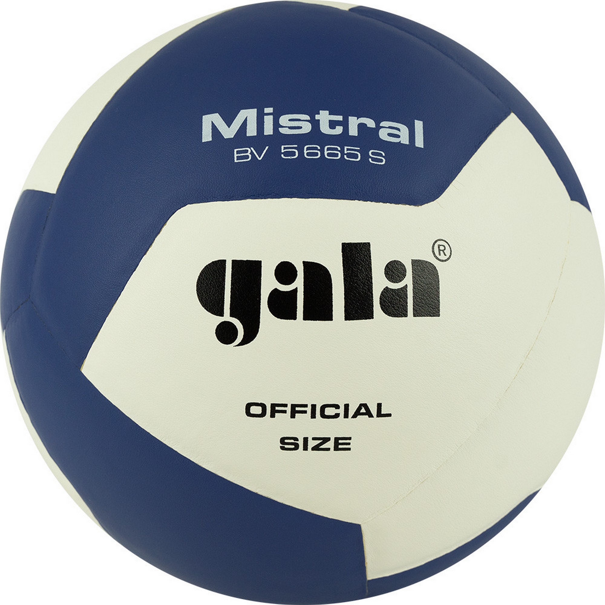 Мяч волейбольный Gala Mistral 12 BV5665S р. 5 2000_2000