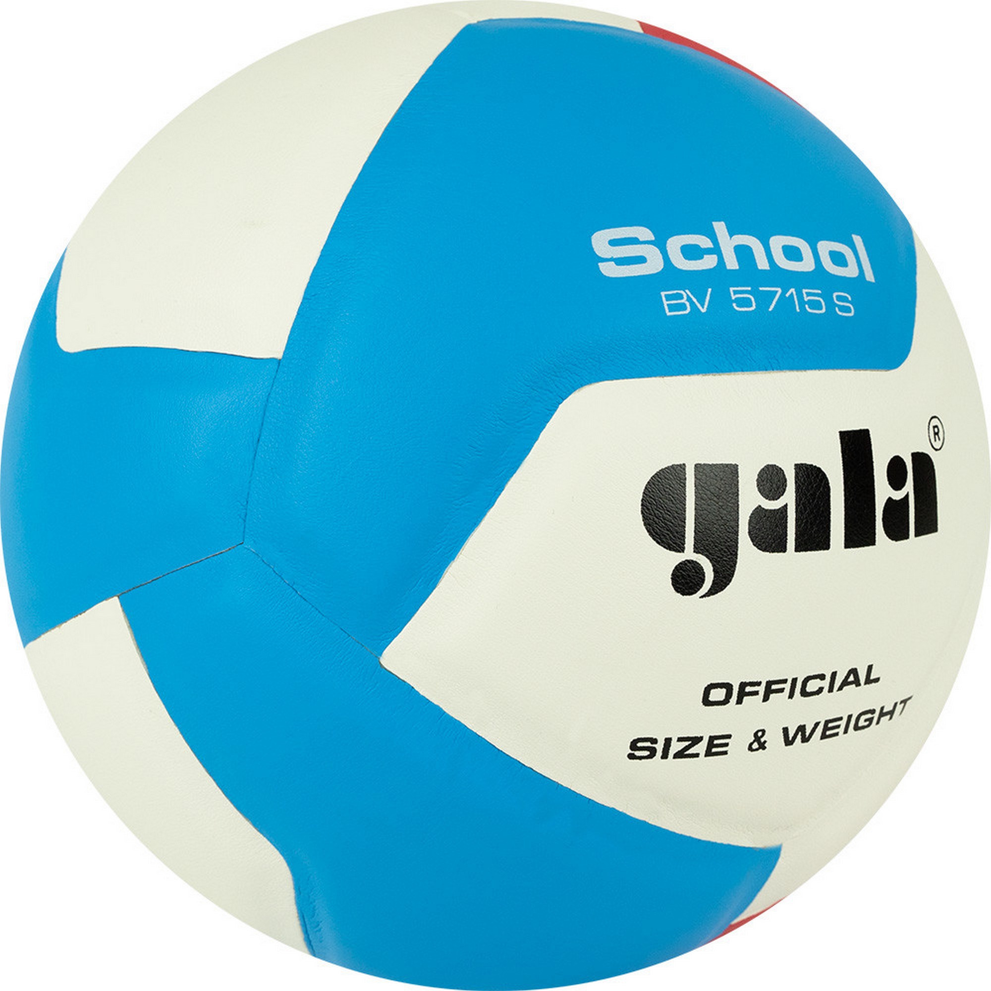 Мяч волейбольный Gala School 12 BV5715S р. 5 2000_2000