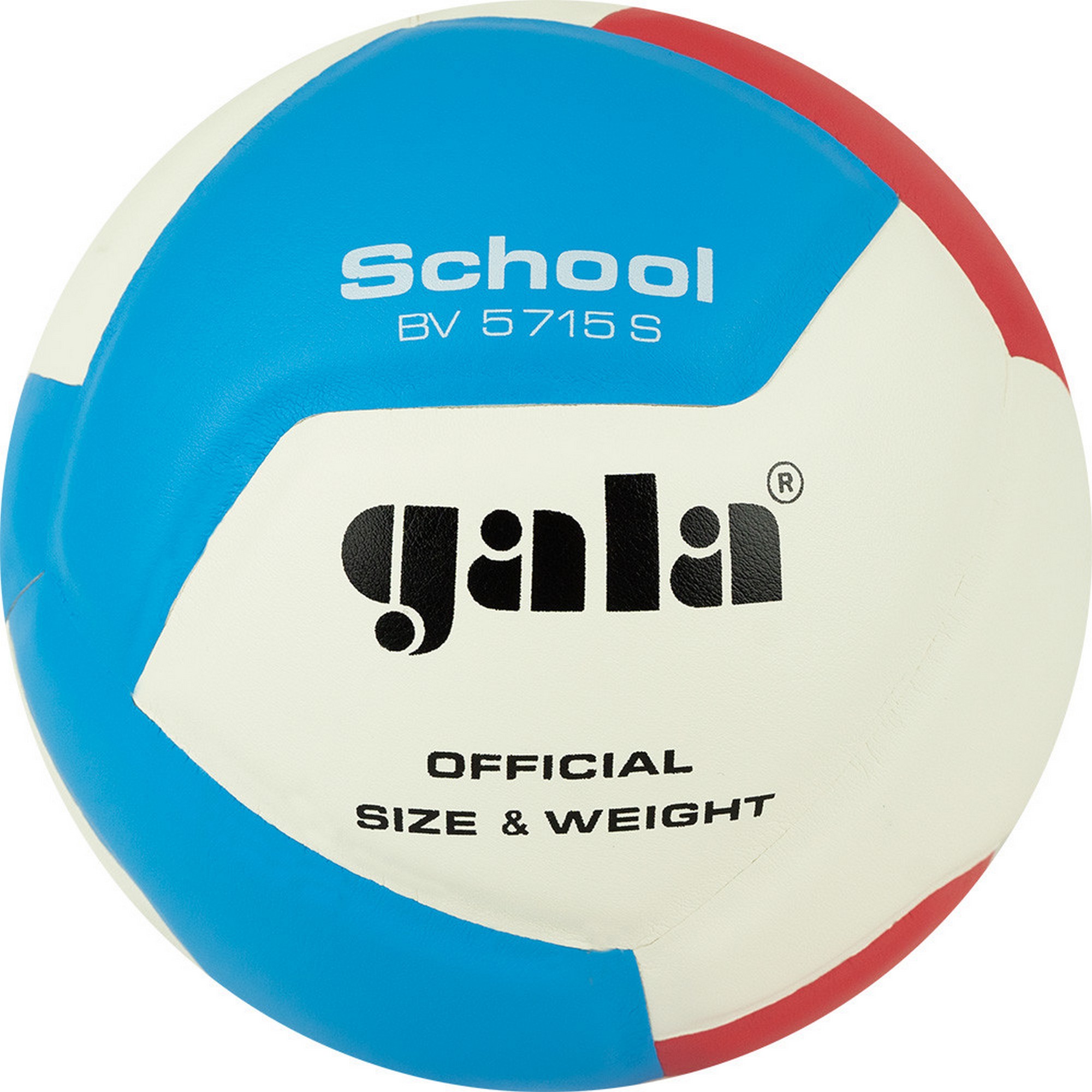 Мяч волейбольный Gala School 12 BV5715S р. 5 2000_2000