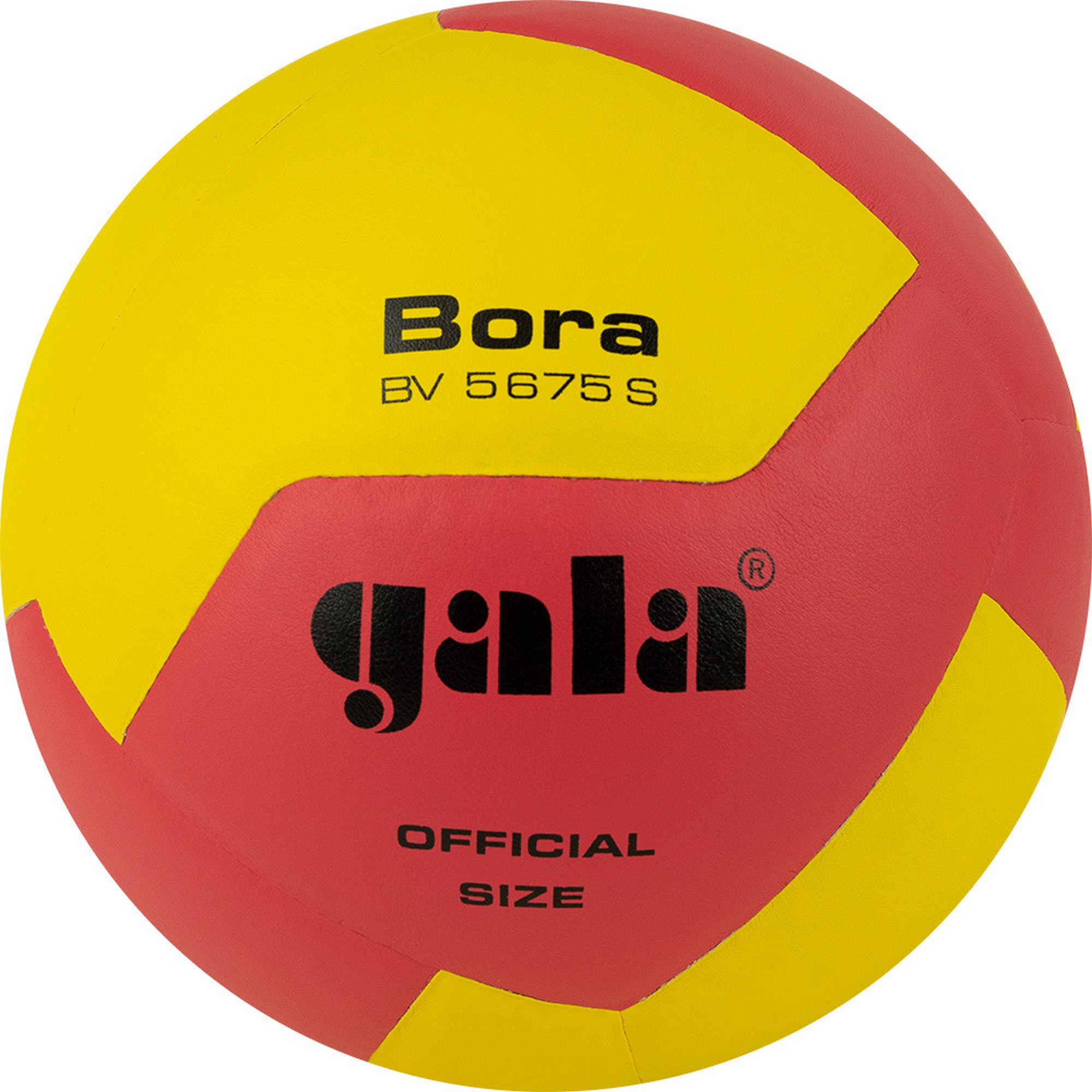 Мяч волейбольный Gala Bora 12 BV5675S р. 5 2000_2000