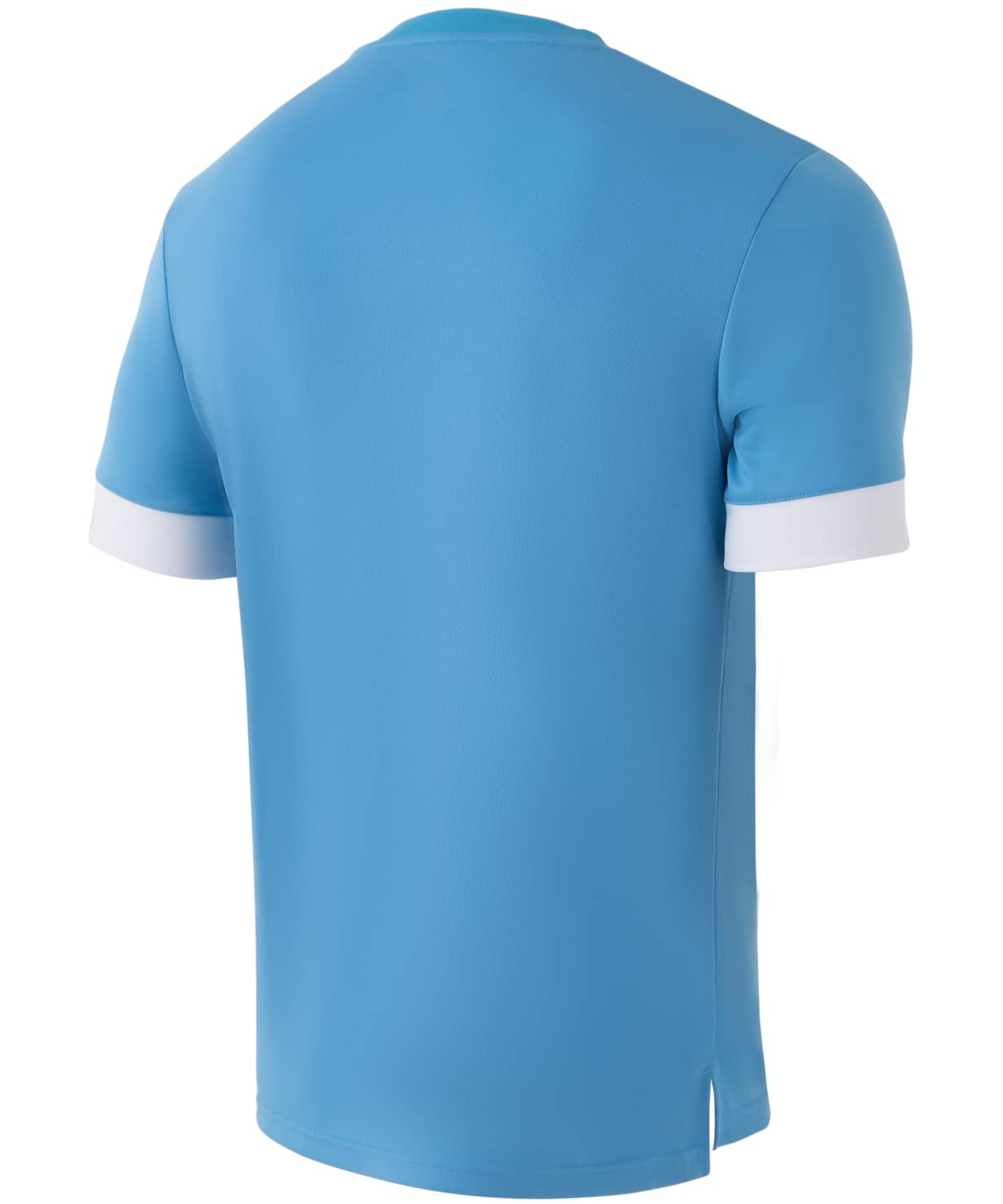 Футболка игровая Jogel DIVISION PerFormDRY Union Jersey, голубой/белый/белый 1230_1476