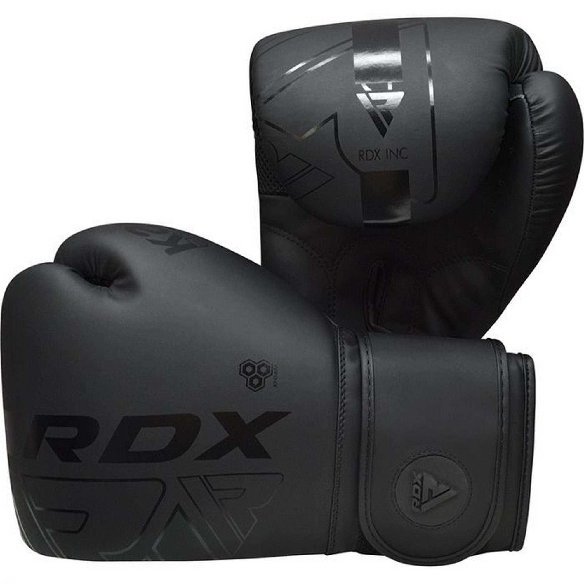 Перчатки тренировочные RDX BGR-F6MB-12OZ черный матовый 2000_2000