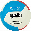 Мяч волейбольный Gala School 12 BV5715S р. 5 120_120