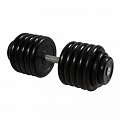 Гантель Профи, 58,5 кг MB Barbell MB-FdbM-B58,5 120_120